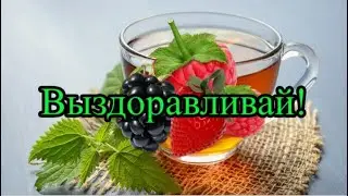 Выздоравливай! Желаю здоровья!