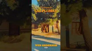 Wes Anderson style - Las Plumas, Chubut