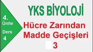 Hücre Zarından Madde Geçişleri-3 Aktif taşıma, Endositoz, Ekzositoz ( TYT Biyoloji 2021 )