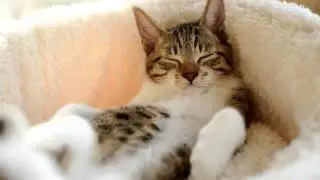 Супер лучшая песня для авто 2015