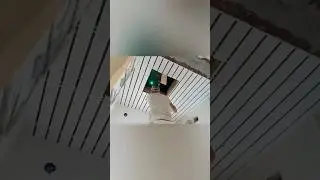бывает и такое