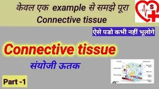 Connective Tissue in hindi |Types of connective Tissue| Function of connective Tissue