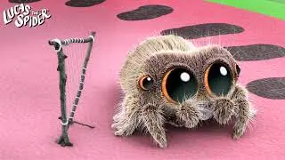 Lucas the Spider - Waiting For Maizie - Short
