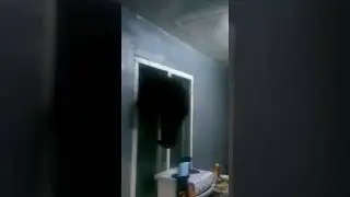 Медведь в доме
