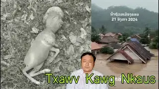 26/08/2024 Nyuj Yug Tau Me Nyuam Thooj Tib Neeg