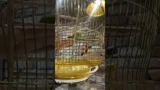 Кеша сегодня без настроения, неполадки у нас сегодня 😁😁