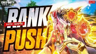 Rushsenpai Road To Legendary
