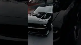 Mustang🖤