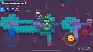 Brawl Stars ✨ 🤩
