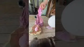 Шарика покусали