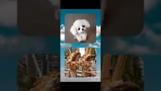 Choose your gift part 11