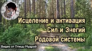 Как исцелить и активизировать Силы и Энергии Родовой системы