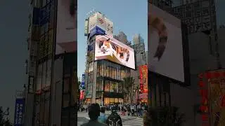 3D Cat billboard in Shinjuku, Tokyo, Japan