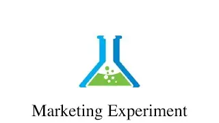 how to succeed in marketing: experiment