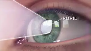 How the eye 👁️ works #eyecare #eyehealth #eyes #viral #video
