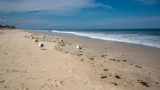 Going to the Beach in March!!