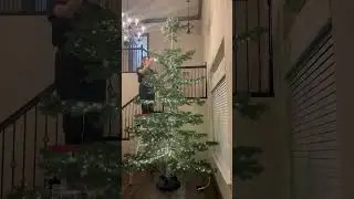 Christmas tree seamless lights #decortips