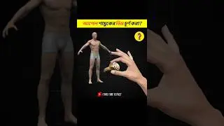 আপেল শামুকের ডিম চূর্ণ করা হয় কেন? @ThisTimeIsFact #shorts
