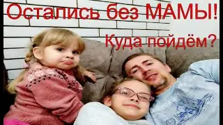 Большие планы на день! Справиться ли папа? Франсильвания