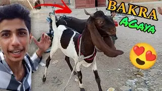 ALHAMDULILALAH QURBANI KE LIYA BAKRA LE LIYA 😍| Mandi Vlog