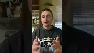 Собака гавкає на інших собак? Що робити?