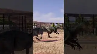Australovenator Social Animation 