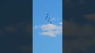 Витязи  в Сургуте
