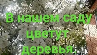 Первые успехи Василисы! Английский язык. Экскурсия по нашему дому.  Цветут деревья в нашем саду.Дети