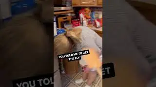 Pranking My Mom with a Flyswatter