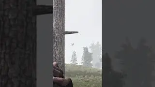 I Hate Nature In Stalker Gamma #shorts
