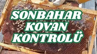 Sonbahar kovan kontrolü yapıyoruz. Kış dönemine hazırlıklarımız sürüyor...