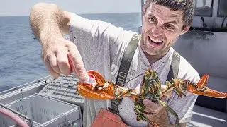 How Strong is a Lobster?