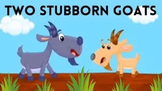 TWO STUBBORN GOATS 