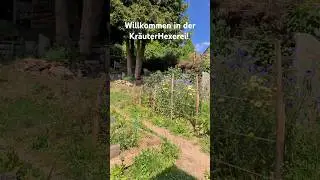 Sprechstunde | KräuterHexerei bei Husten