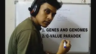 Chromosome, Gene, Genome, C Value Paradox