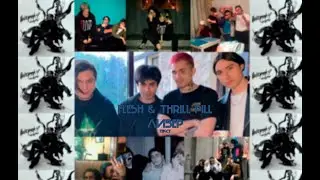 FLESH & THRILL PILL - ЛИЗЕР | ТЕКСТ