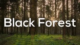 TM IMPRESSIONS #01 | Trip to the Black Forest 🌲 | Tim Maier | [4K]