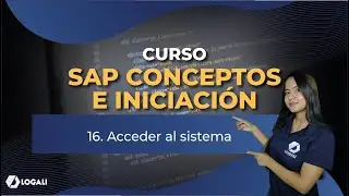 Curso SAP Conceptos e iniciación - 16. Acceder al Sistema