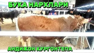 АНДИЖОН КУРГОНТЕПА ХАЙВОН БОЗОР БУКА НАРХЛАРИ  24.12.2023