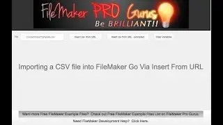 Importing a CSV File into FileMaker Go