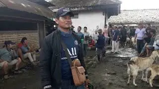 Keseruan Dipasar Kambing Sumoroto