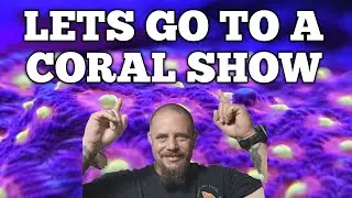 Saltwater Coral Show