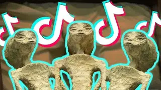 Mexico Alien Bodies - Memes (TikTok Compilation)