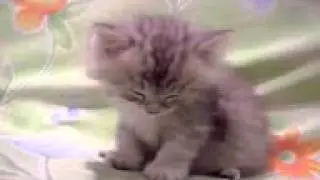 баюшки баю
