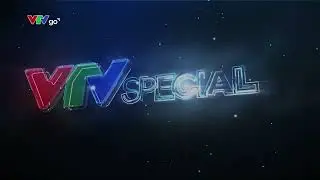 55 năm VTV | Hình hiệu VTV Đặc Biệt/VTV Special (từ 10.01.2015, 2 phiên bản)