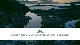 Composition and Wonder at Oak Leaf Park