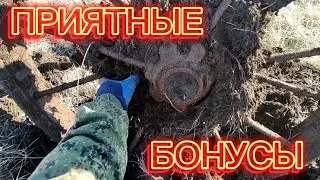 НАЧАЛО СЕЗОНА НАЧАЛОСЬ С БОНУСОВ!!!ЦЕНА НА МЕТАЛЛ ВЗЛЕТЕЛА 26 РУБЛЕЙ🔥