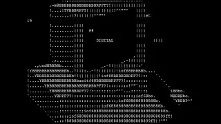Robert Robert - Digital (Lyric video)