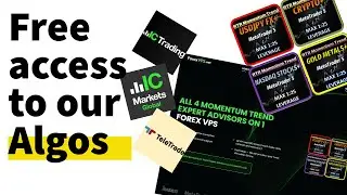 Get Momentum Trend MT5 EA algo in 4 simple steps