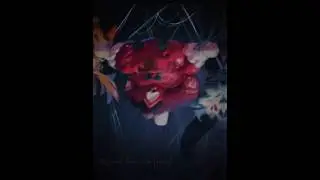 Washing machine heart | Cookie run: Kingdom edit | #cookiekingdom #edit #cookierun #crk #crkshort